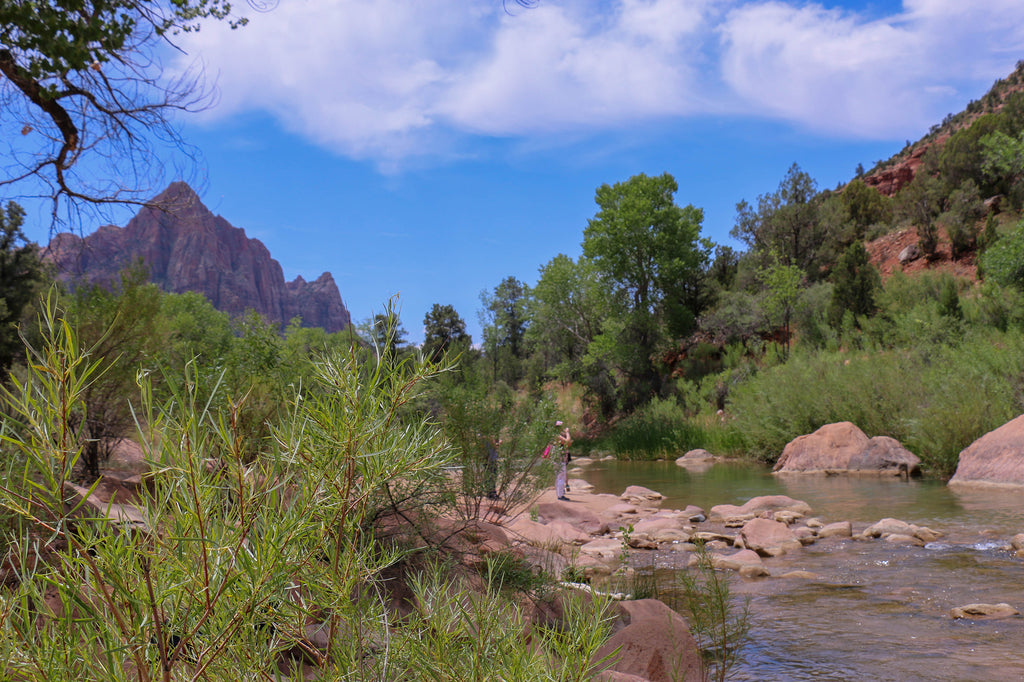 Zion National Park